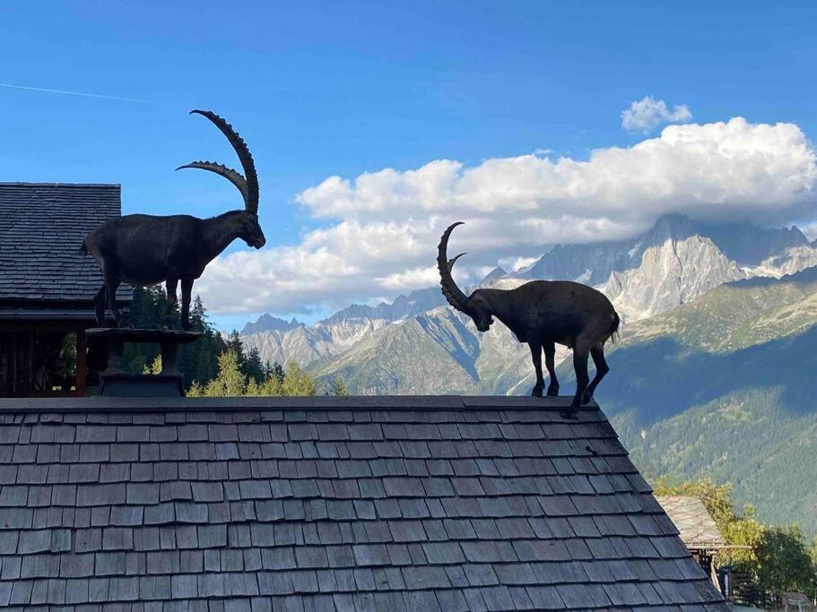 Praz Sur Arly - Proche Des Pistes Et De Megeve Apartman Kültér fotó