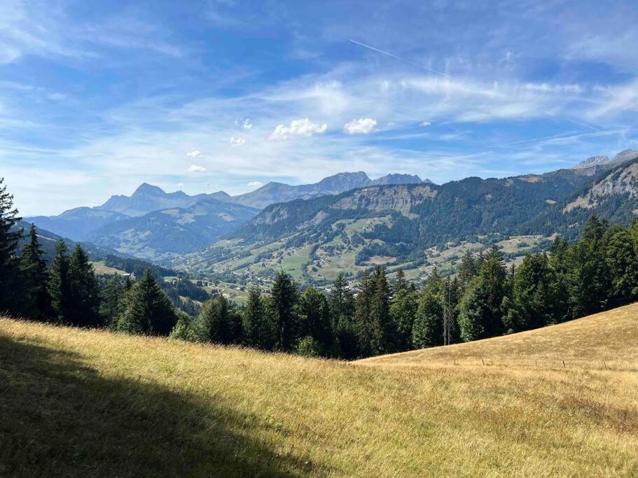 Praz Sur Arly - Proche Des Pistes Et De Megeve Apartman Kültér fotó
