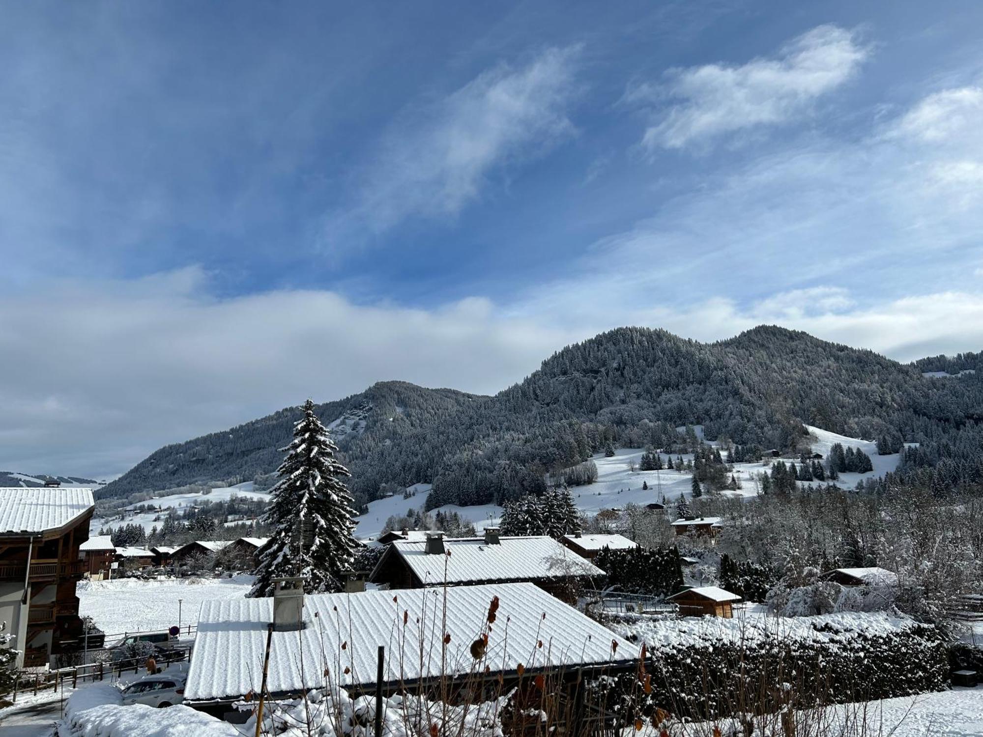 Praz Sur Arly - Proche Des Pistes Et De Megeve Apartman Kültér fotó